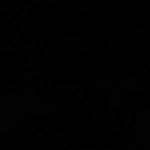 Meet your Posher, Wyatt